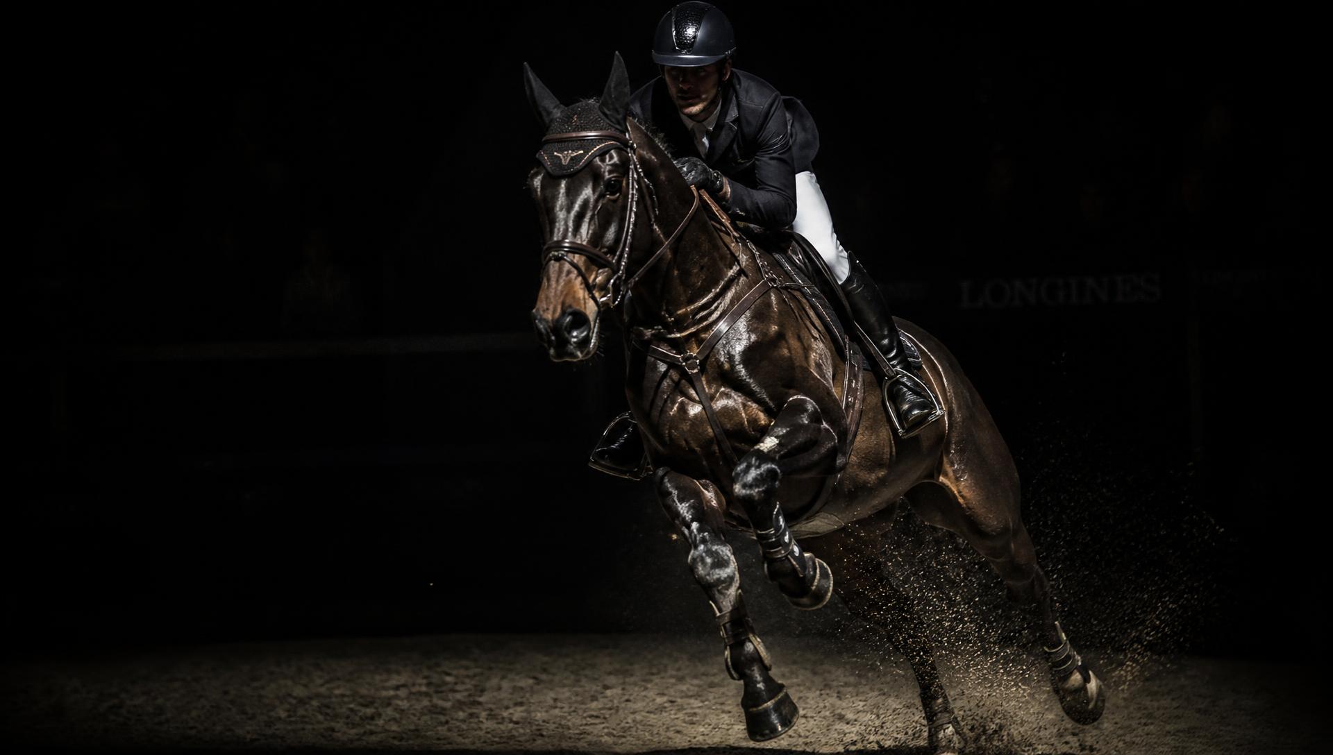 Horse in dramatic arena lighting